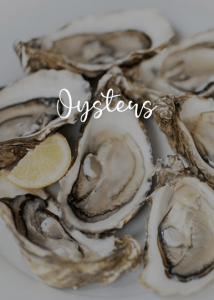 Oysters
